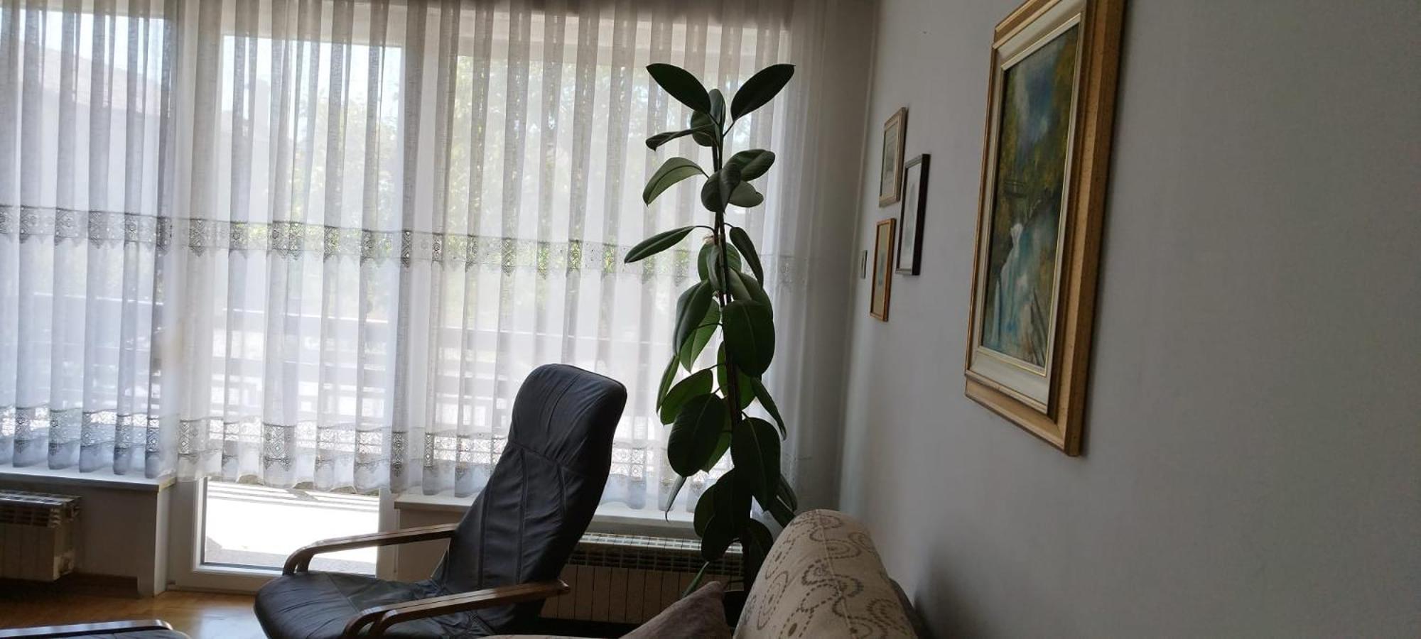 7 Flower Street Apartment Sempeter pri Gorici المظهر الخارجي الصورة