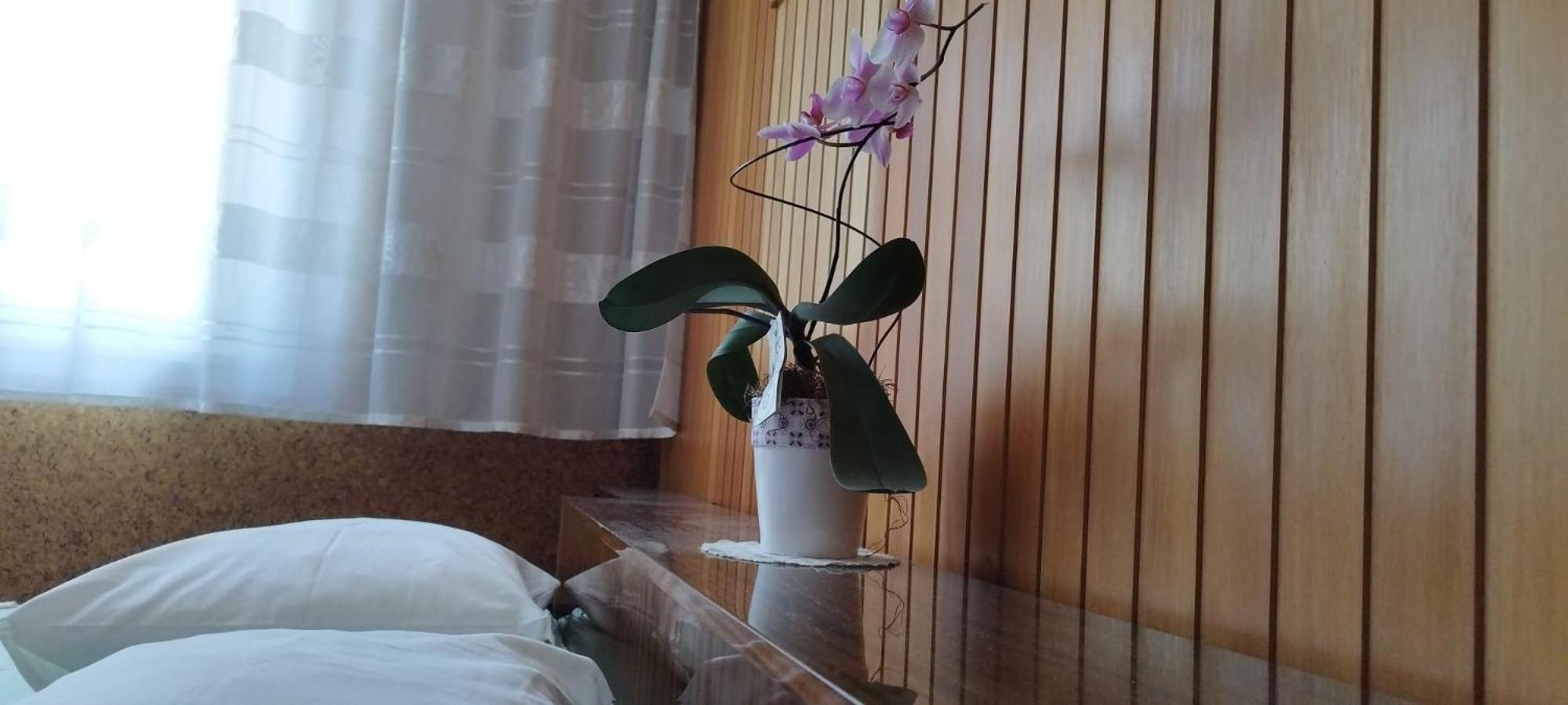 7 Flower Street Apartment Sempeter pri Gorici المظهر الخارجي الصورة
